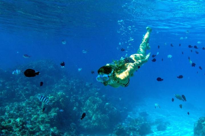A woman swimming with fishes in Bora Bora coral garden