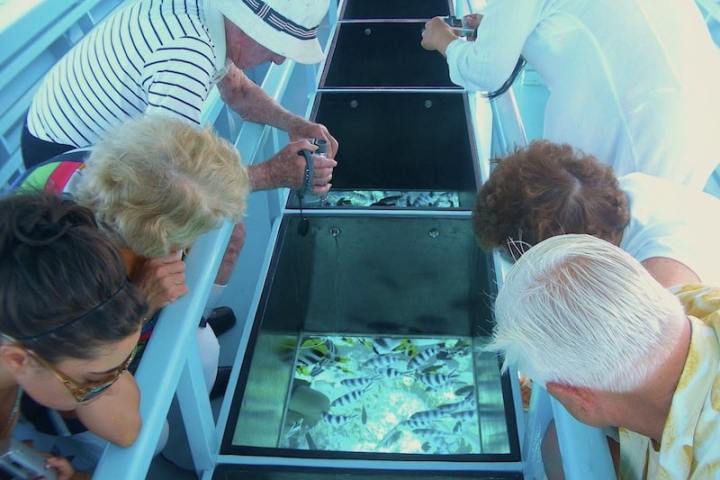 A group of people watching fishes through glass bottom boat in Bora Bora