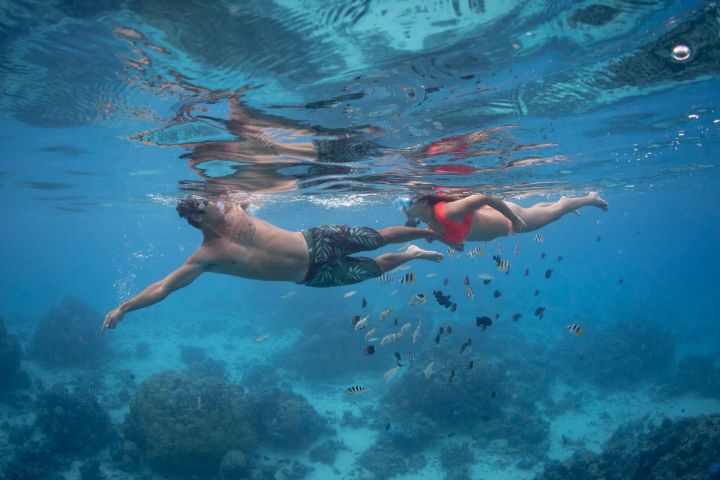 A couple swimming with fishes in Bora Bora coral garden
