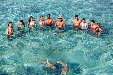 A group of people swimming with sharks in Bora Bora lagoon