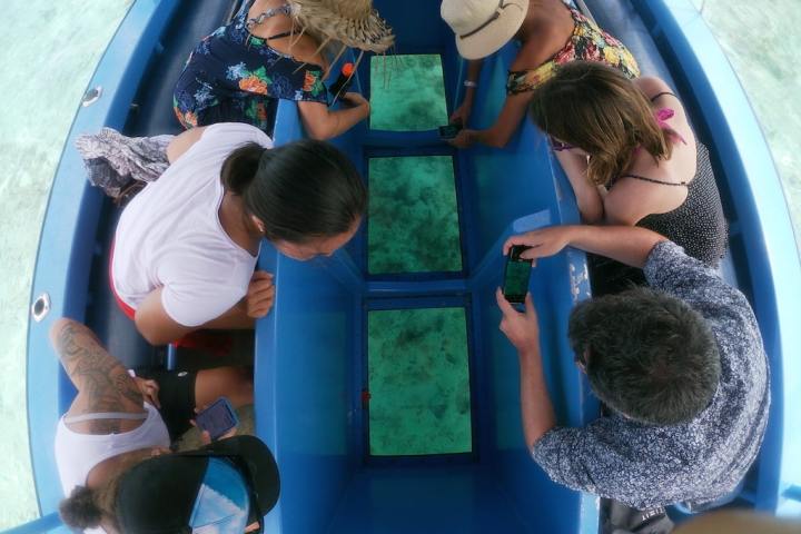 A group of people watching fishes through glass bottom boat in Bora Bora