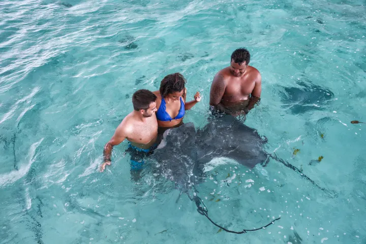 A couple swimming with stingrays in Bora Bora lagoon