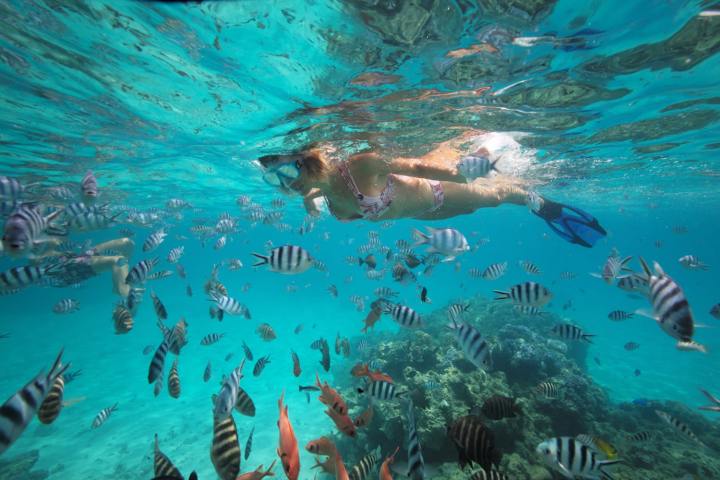 A woman swimming with fishes in Bora Bora coral garden