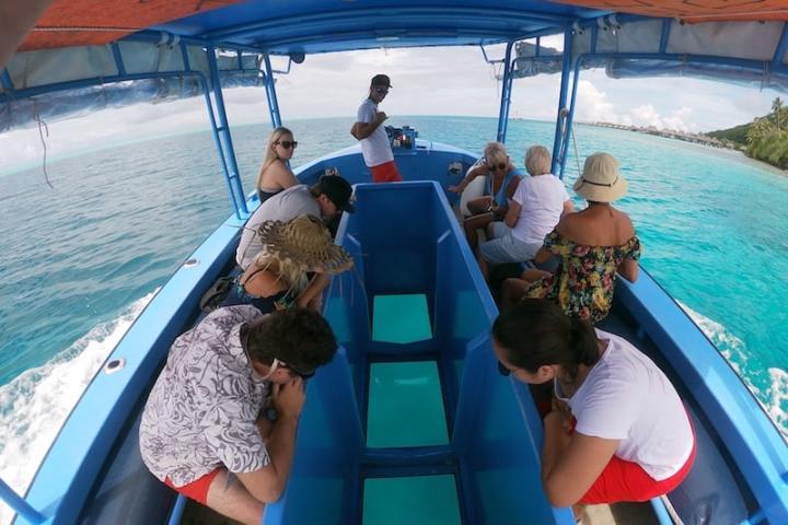 A group of people watching fishes through glass bottom boat in Bora Bora