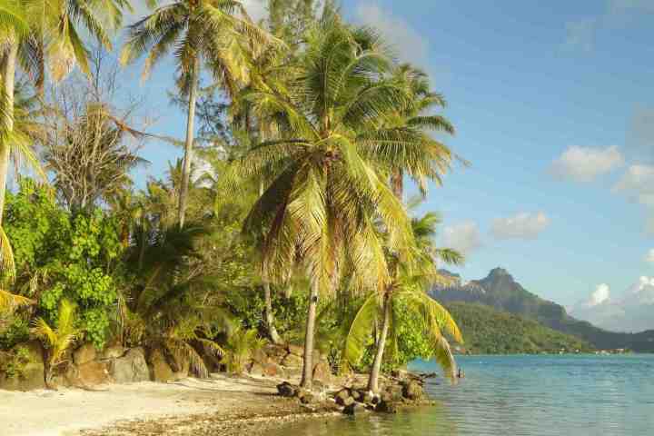 A private island in Bora Bora called Haapiti Motu