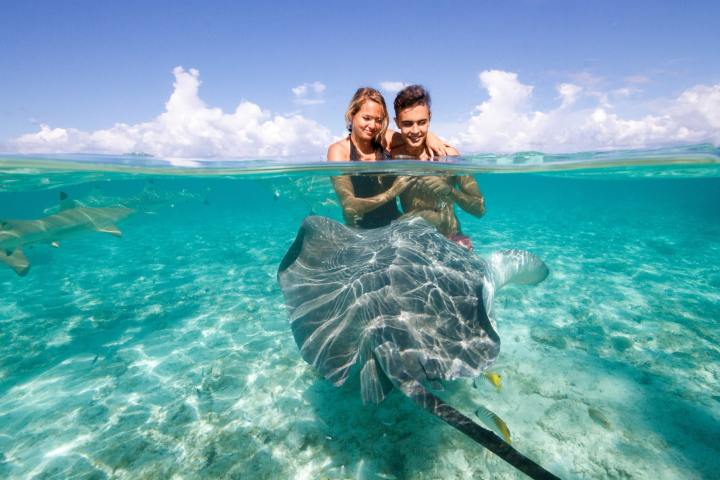 A couple swimming with stingrays in Bora Bora lagoon