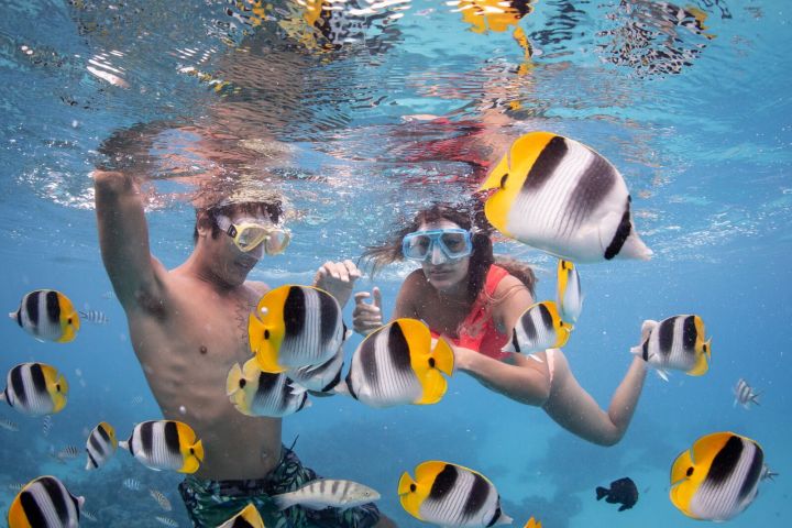 A couple swimming with fishes in Bora Bora lagoon