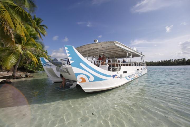 Moana Adventure Tours catamaran waiting for clients