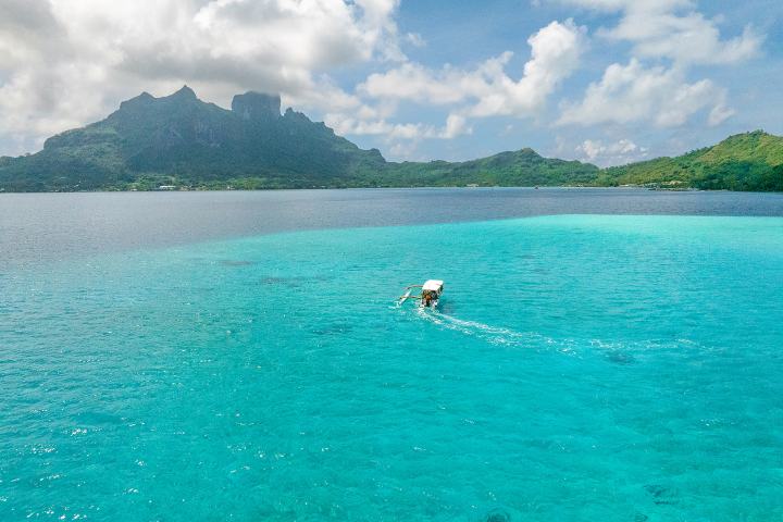 a group of people swimming in a body of water
