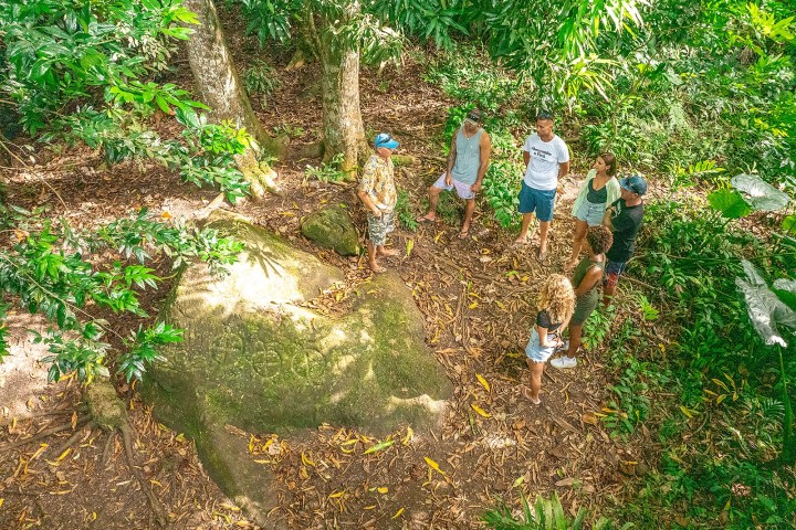 a fire hydrant sitting in the grass