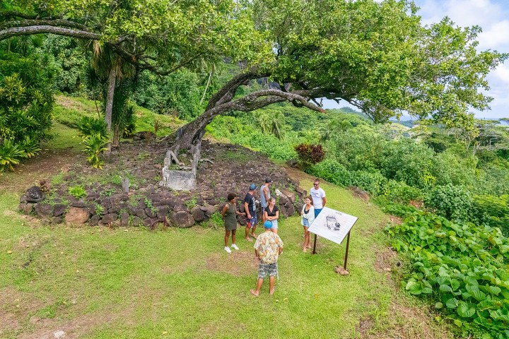 a group of people standing next to a tree