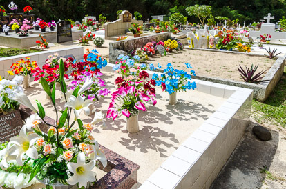 a vase of flowers on a table