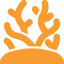 Orange coral icon on a white background.